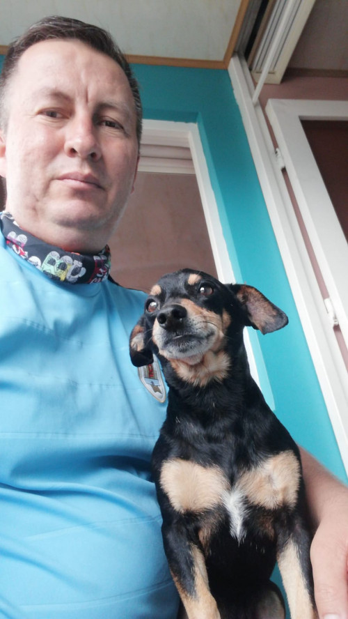 Toby