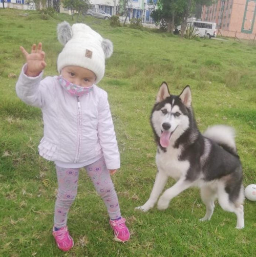 Balto