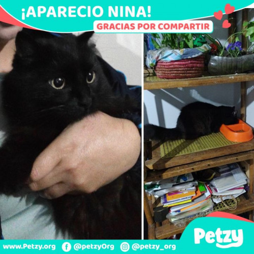 Foto de mascota Nina