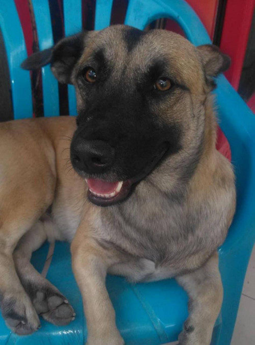 Bruce