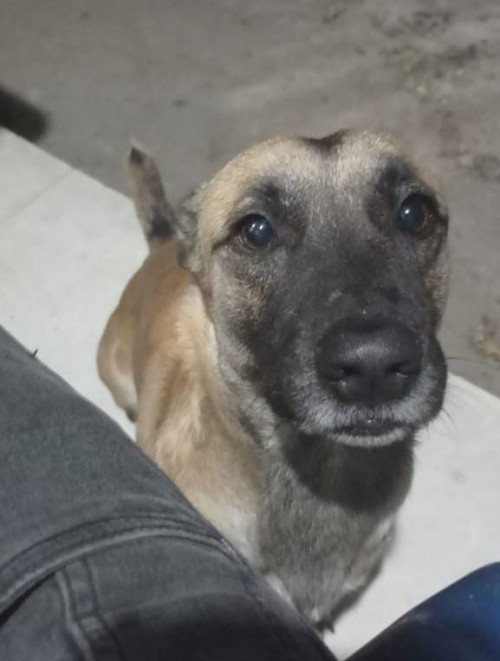 Bruce