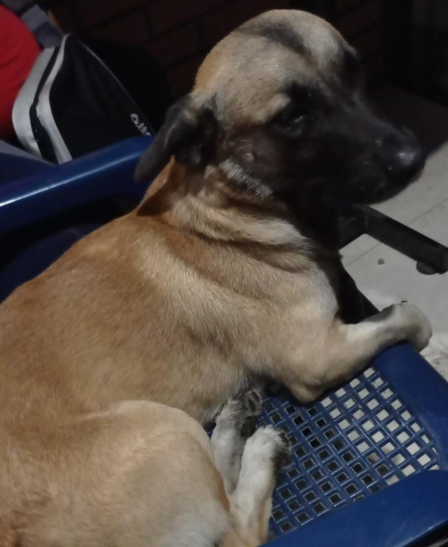 Bruce