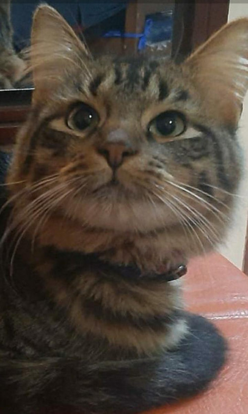 Ragnar
