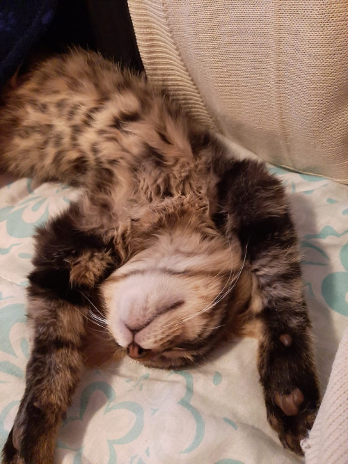 Ragnar