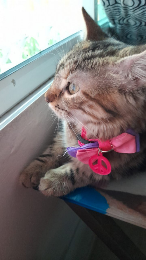 Helga
