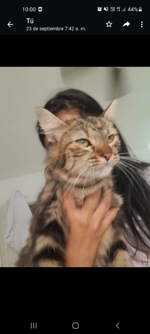 Helga
