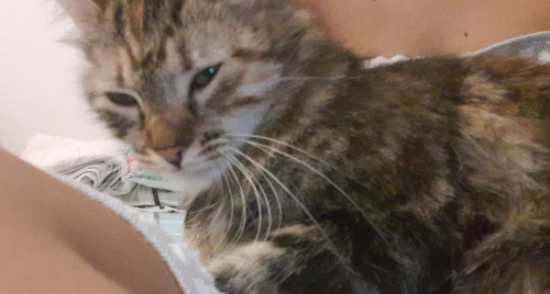 Helga