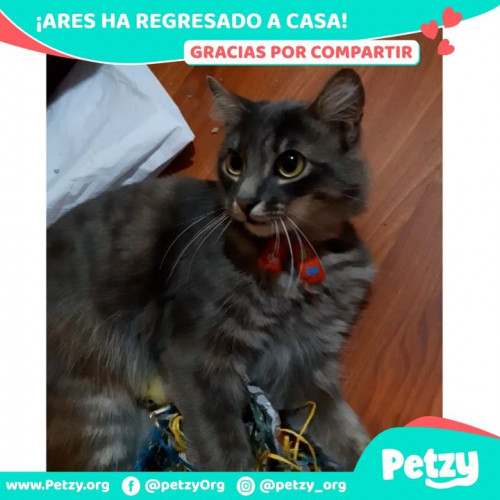 Foto de mascota Ares