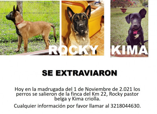 Rocky Y Kima