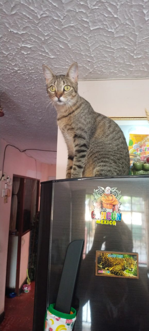 Lupita