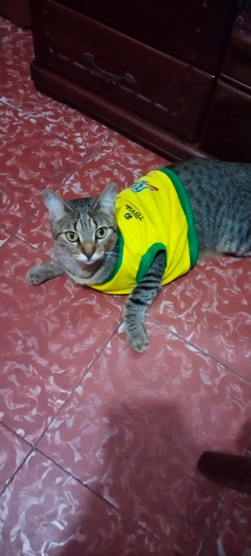 Lupita