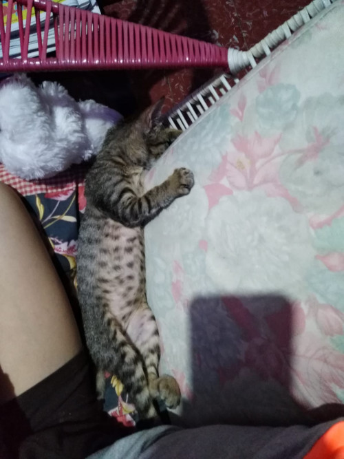 Lupita