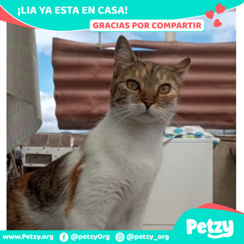 Foto de mascota Lia