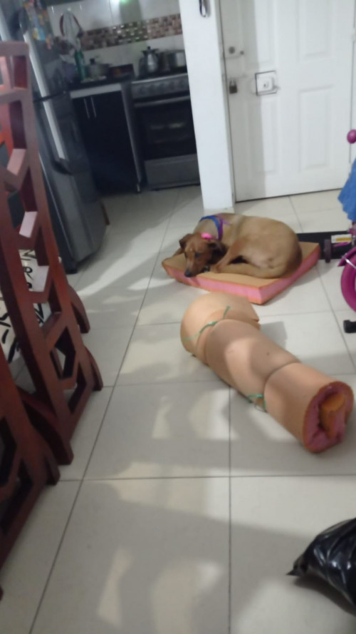 Mia