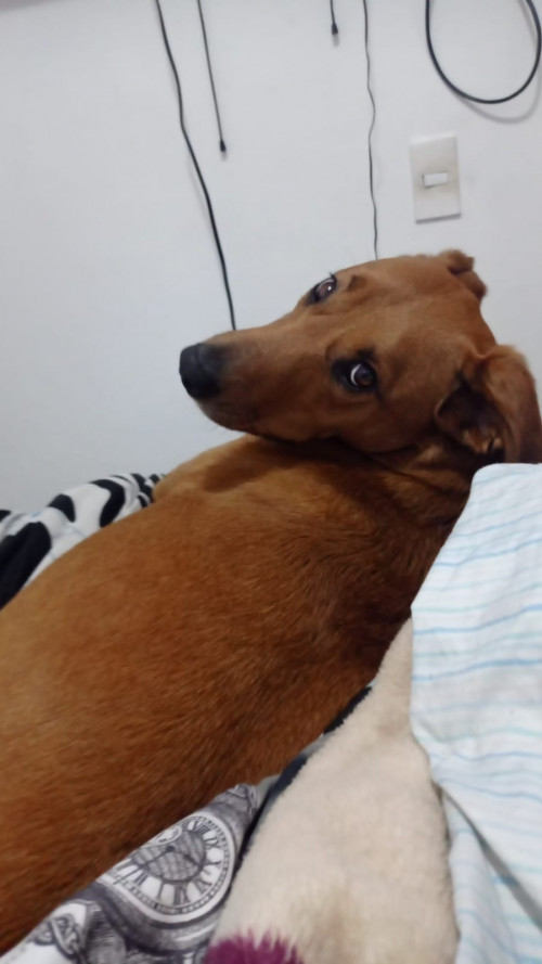 Mia
