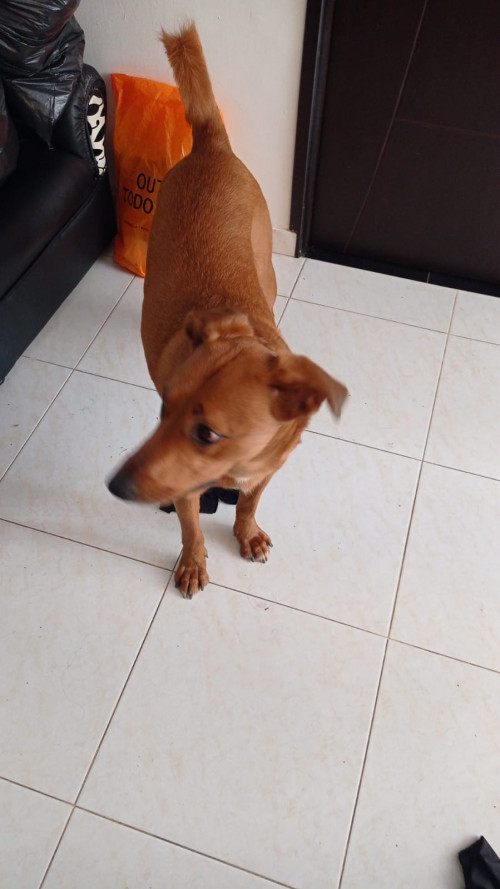 Mia