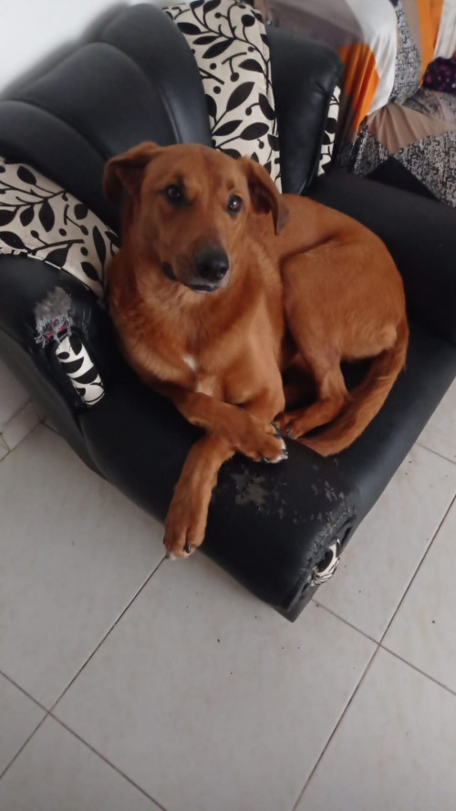 Mia