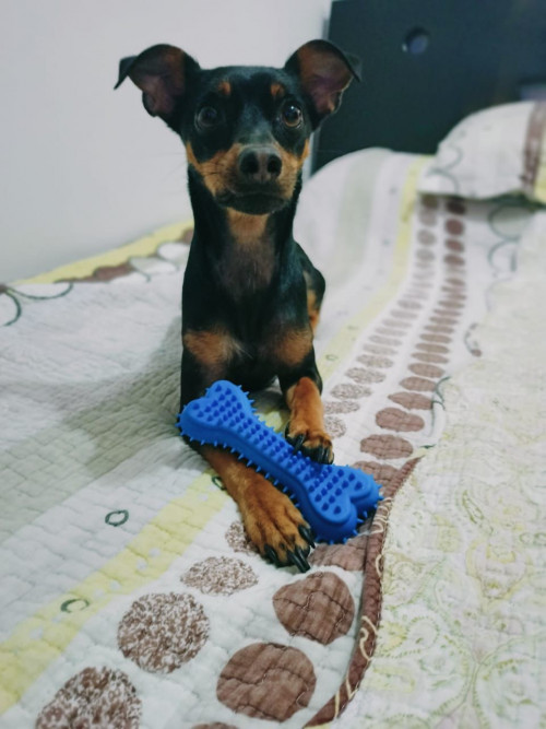 Muñeco