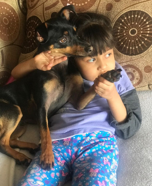 Muñeco