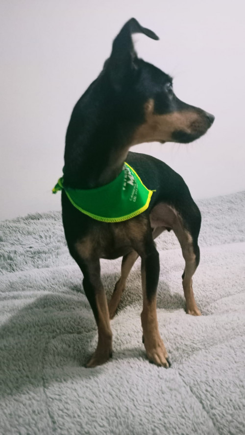 Muñeco