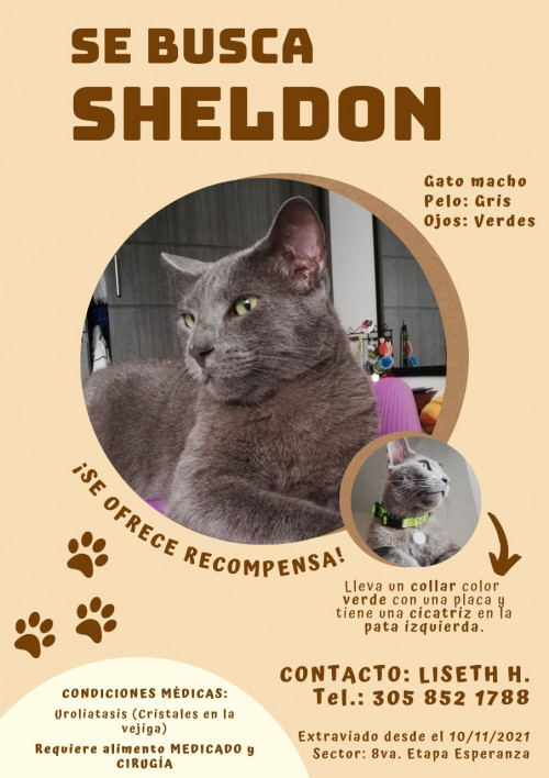 Sheldon