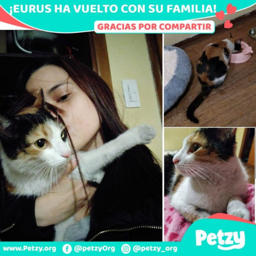 Foto de mascota Eurus Castillo