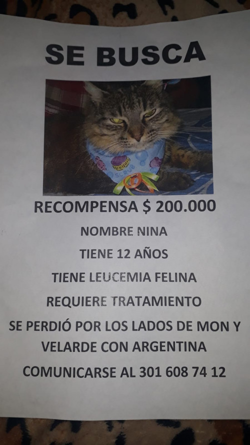 Nina