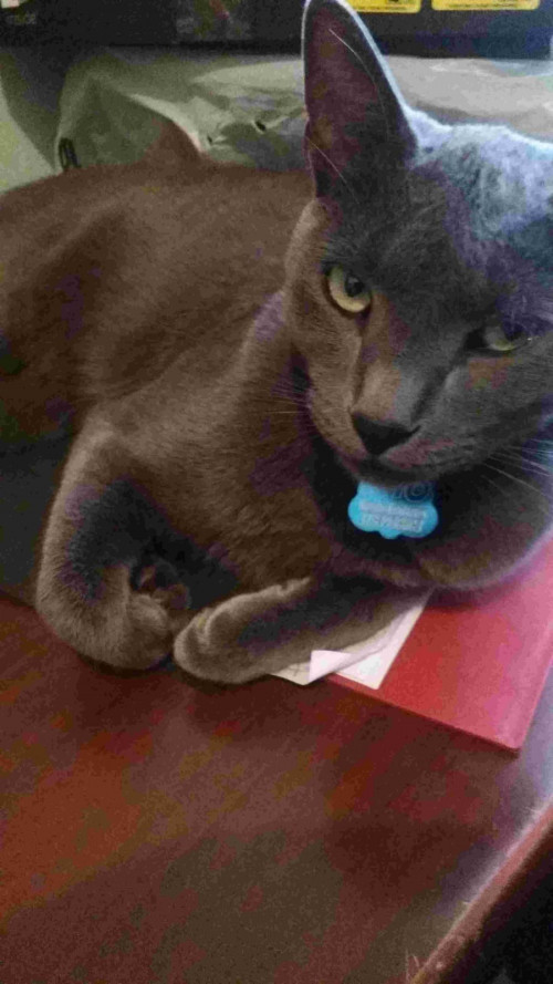 Tito