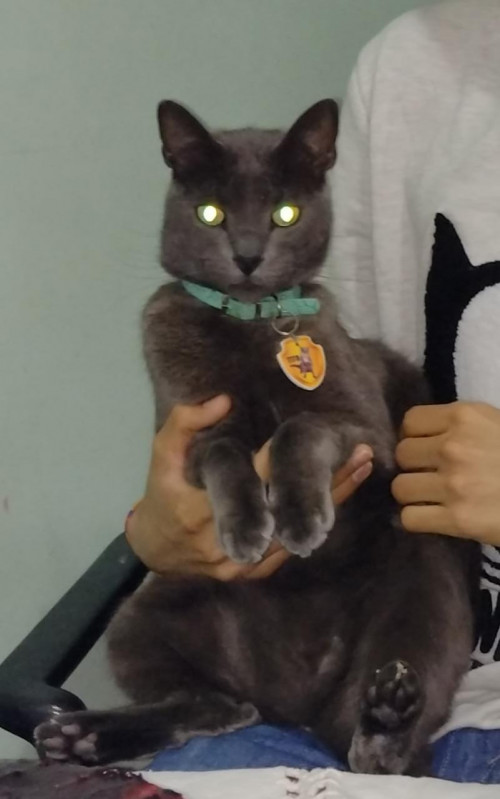 Tito