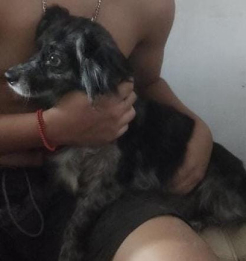 Muñeca