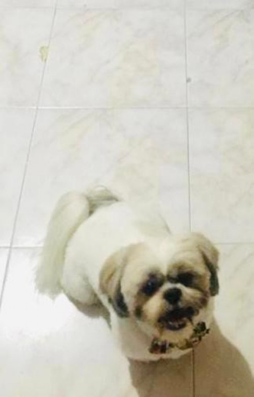 Kobby