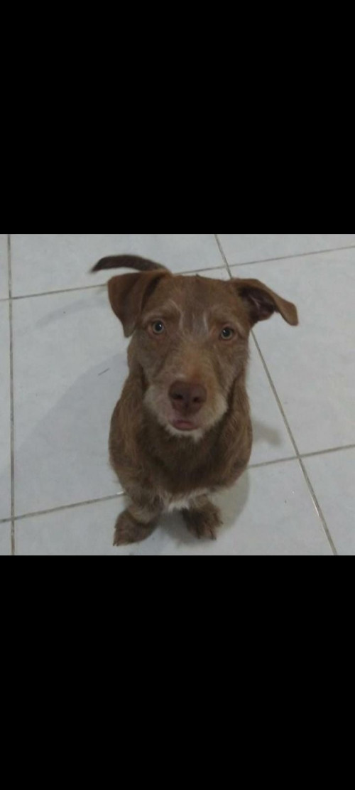 Kima 