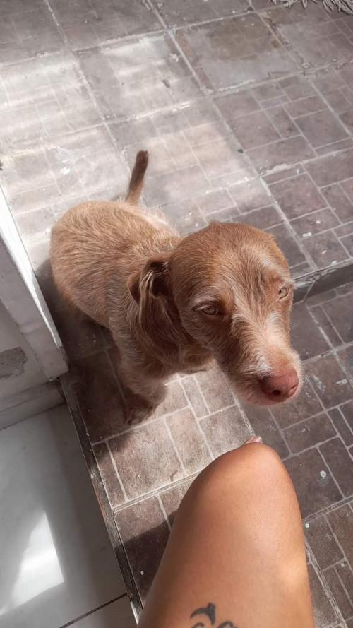 Kima 