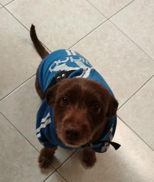 Sam