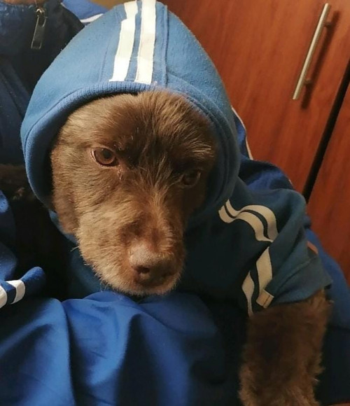 Sam