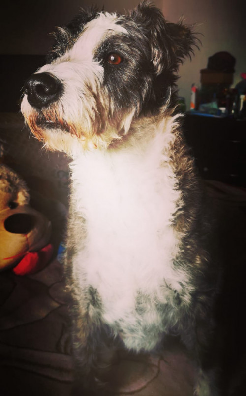 Max