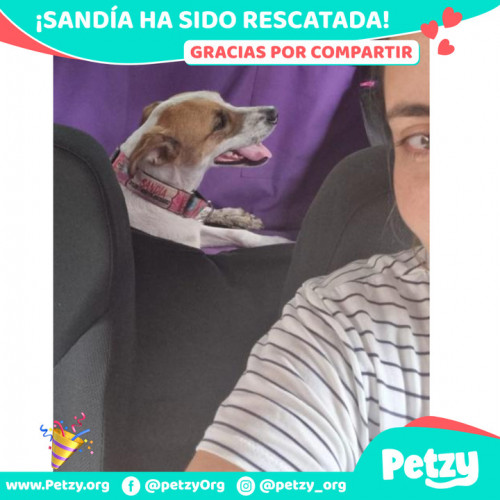 Foto de mascota Sandía