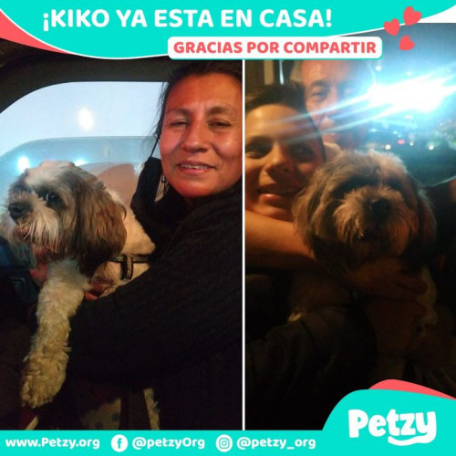 Foto de mascota Kiko