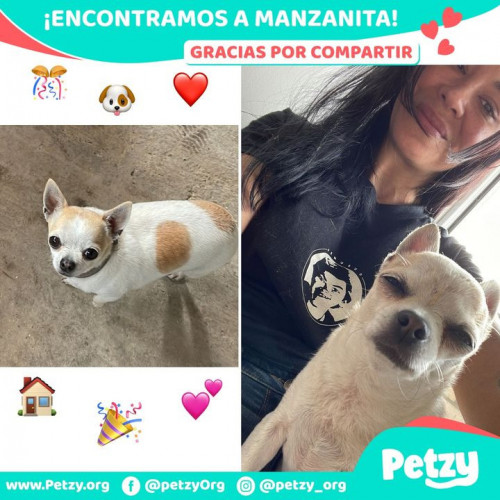 Foto de mascota Manzanita