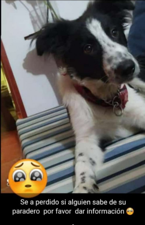 Zimba