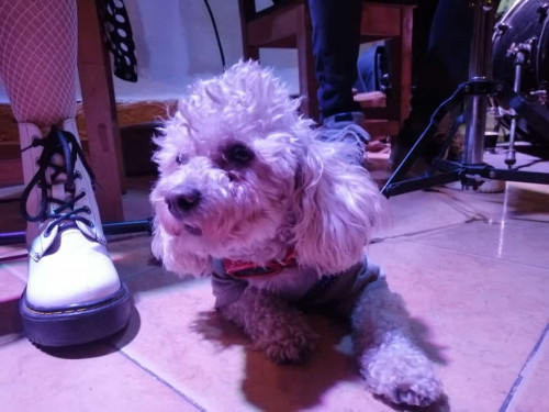 Charly
