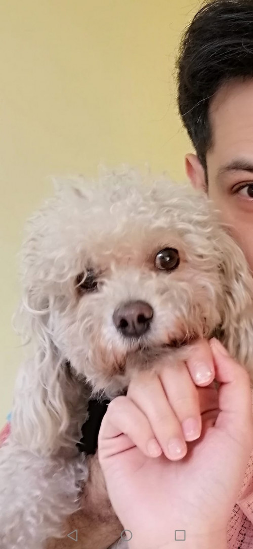 Charly