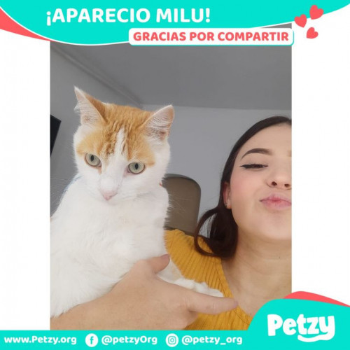 Foto de mascota Milu
