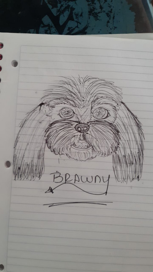 Brawnny (el Pelaito)