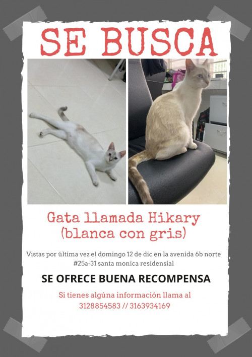 Hikary