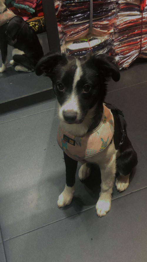Zoe