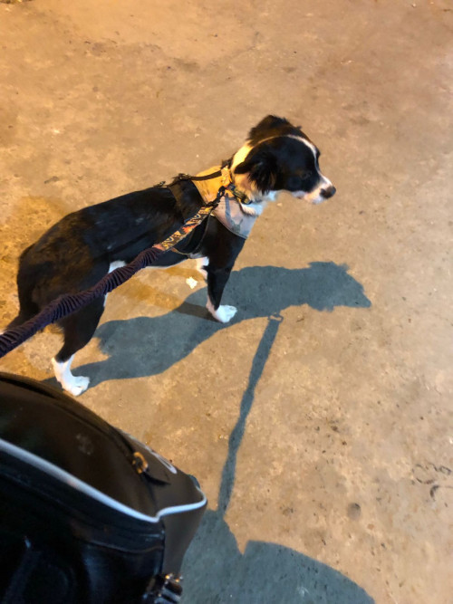Zoe