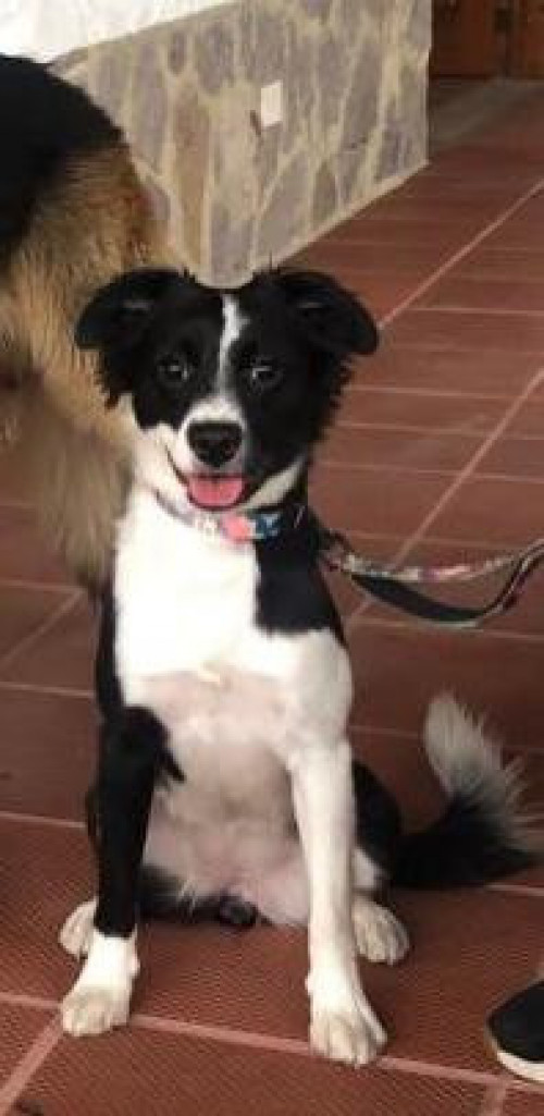 Zoe