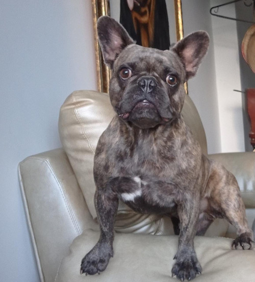 Ramón