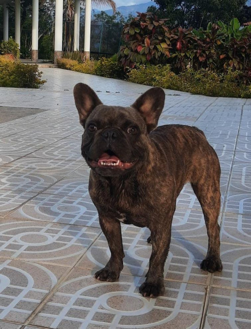 Ramón